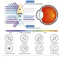 Montura Marco Gafas Crixalis Bloqueo De Luz
