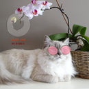 Gafas De Sol Para Gatos Y Perros Pequeños Fashion Disfraz