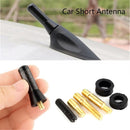Antena Deportiva Sport Carro Fibra De Carbono Radio Am Fm