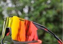Gafas 100%  Hypercraft (Diferentes colores) (Set completo)