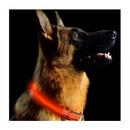 Collar Luz Led Reflectivo Perro Gato Mascotas 3 Efectos Rojo