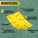 Trampa Para Insectos Adhesivo 10 Unidades