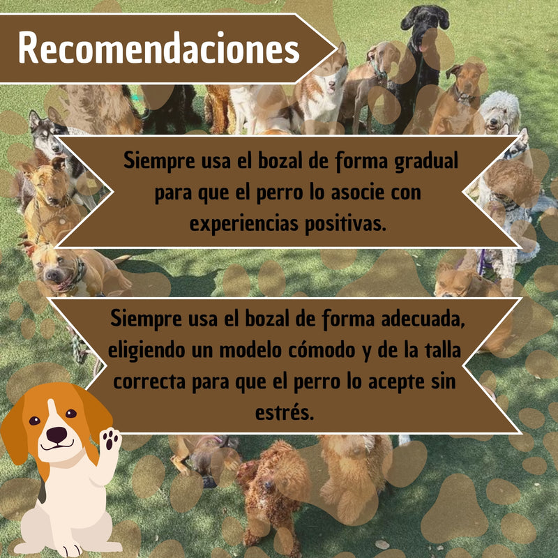 Bozal De Entrenamiento Halti Para Perros Anti Jalones