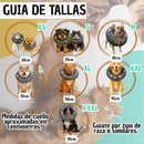 Copia de Cono De Recuperación Perros Y Gatos Collar Isabelino Azul Caritas