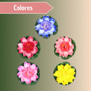 Flores De Loto Acuáticas Artificiales Para Jardín Jacuzzi X5