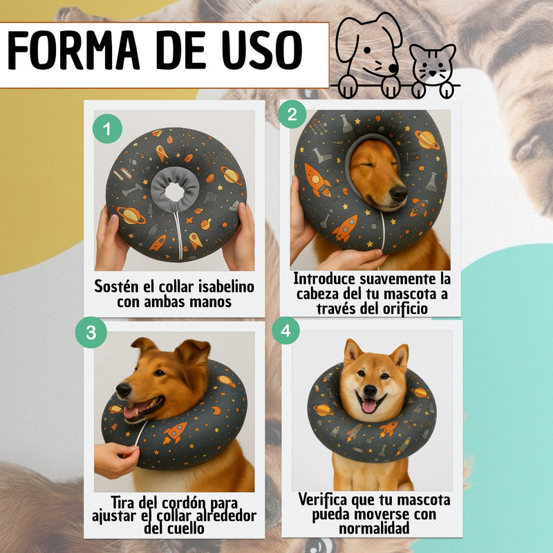 Copia de Cono De Recuperación Perros Y Gatos Collar Isabelino Azul Caritas