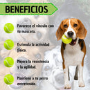 Lanza Pelotas para Perros de Largo Alcance