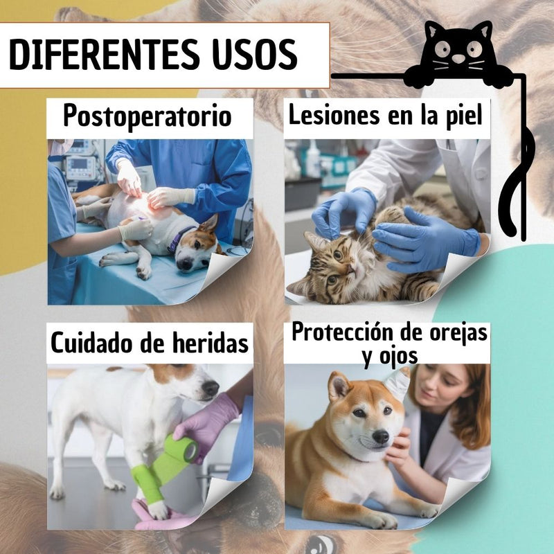 Copia de Cono De Recuperación Perros Y Gatos Collar Isabelino Azul Caritas