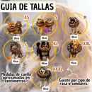 Collar Isabelino Recuperación Perros Y Gatos WOOF