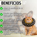 Collar Isabelino Recuperación Perros Y Gatos Trofeos