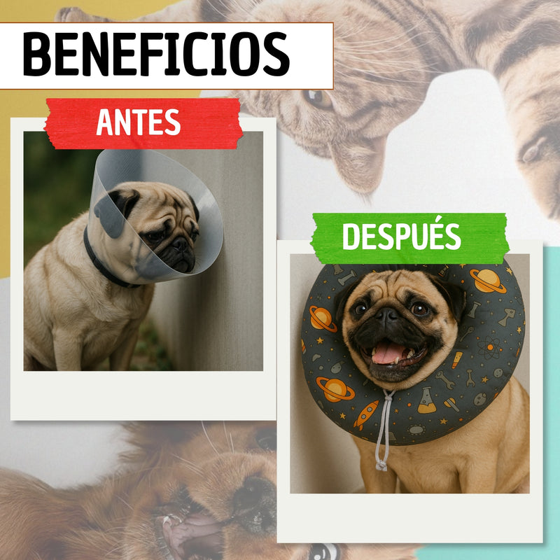 Copia de Cono De Recuperación Perros Y Gatos Collar Isabelino Azul Caritas