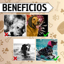 Tapa Orejas Protector Auditivo Para Perros Mascota Antiruido