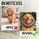 Collar Isabelino Recuperación Perros Y Gatos Trofeos