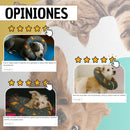 Copia de Cono De Recuperación Perros Y Gatos Collar Isabelino Azul Caritas