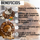 Collar Isabelino Recuperación Perros Y Gatos WOOF