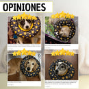Collar Isabelino Recuperación Perros Y Gatos Trofeos