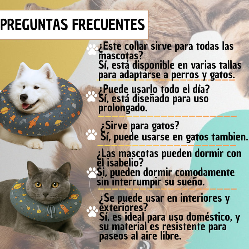 Copia de Cono De Recuperación Perros Y Gatos Collar Isabelino Azul Caritas