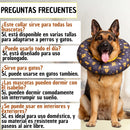 Collar Isabelino Recuperación Perros Y Gatos Trofeos