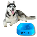 Taza Comedero O Bebedero Para Perros Y Gatos