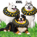 Collar Isabelino Recuperación Perros Y Gatos Trofeos