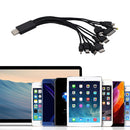 Cable Cargador Multiple Adaptador Tod 10 En 1 Varios Modelos