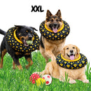 Collar Isabelino Recuperación Perros Y Gatos Trofeos