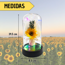 Cúpula con Girasol Decorativo Iluminación LED