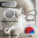 Juguete Electrónico para Gatos Recargable con Cuerda