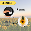 Cúpula con Girasol Decorativo Iluminación LED