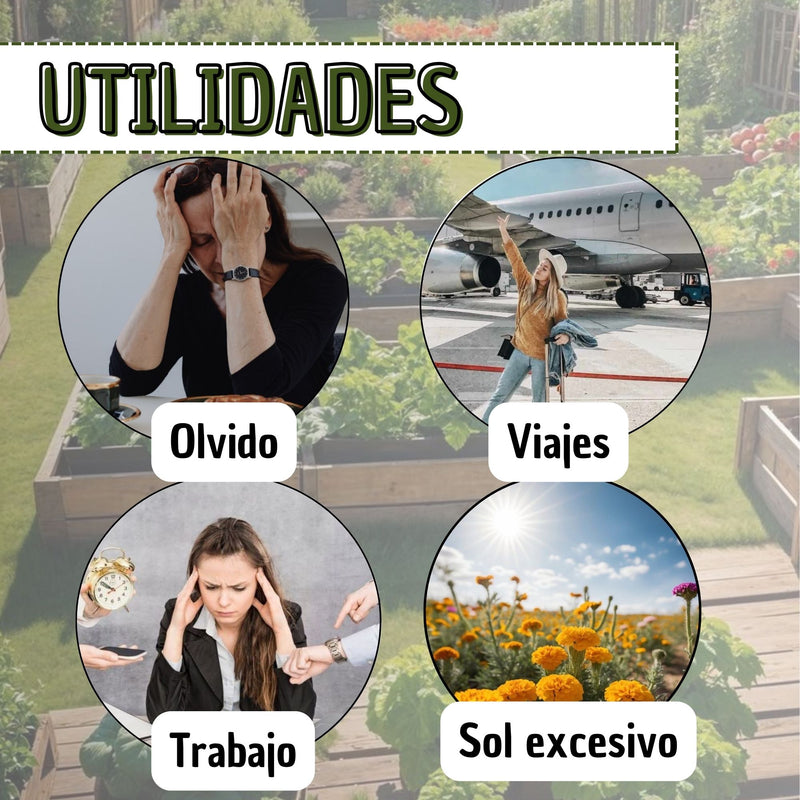 Regador Automático De Plantas Jardín X 6 Unidades Gotero