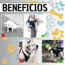 Arnes De Levantamiento De Perros Chaleco Auxiliar Soporte