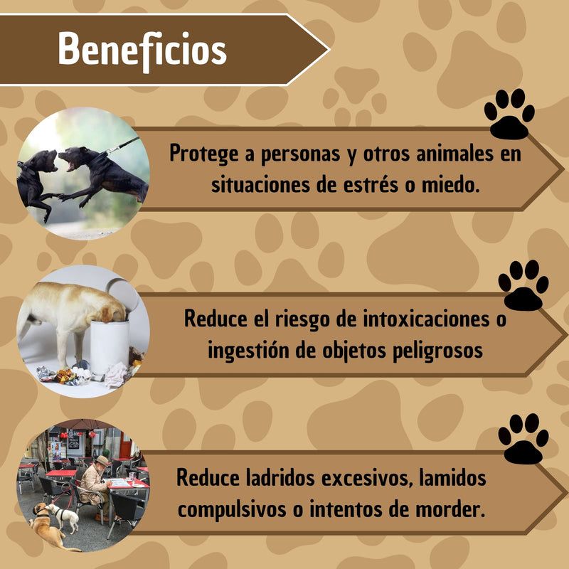 Bozal De Entrenamiento Halti Para Perros Anti Jalones