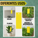 Trampa Para Insectos Adhesivo 10 Unidades