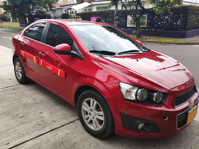 Protector Antiportazos Magnético Tamaño STANDARD - AMBOS LADOS DEL CARRO