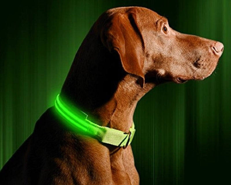 Collar Con Luz LED Para Mascotas