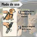 Correa Collar de Seguridad para Mascota en Carro (Diferentes Colores)