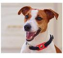 Funda Impermeable Para Airtag Collar Perros Gatos