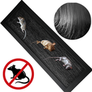 Trampa Pegante Ratones Efectivo