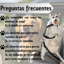 Correa Collar de Seguridad para Mascota en Carro (Diferentes Colores)