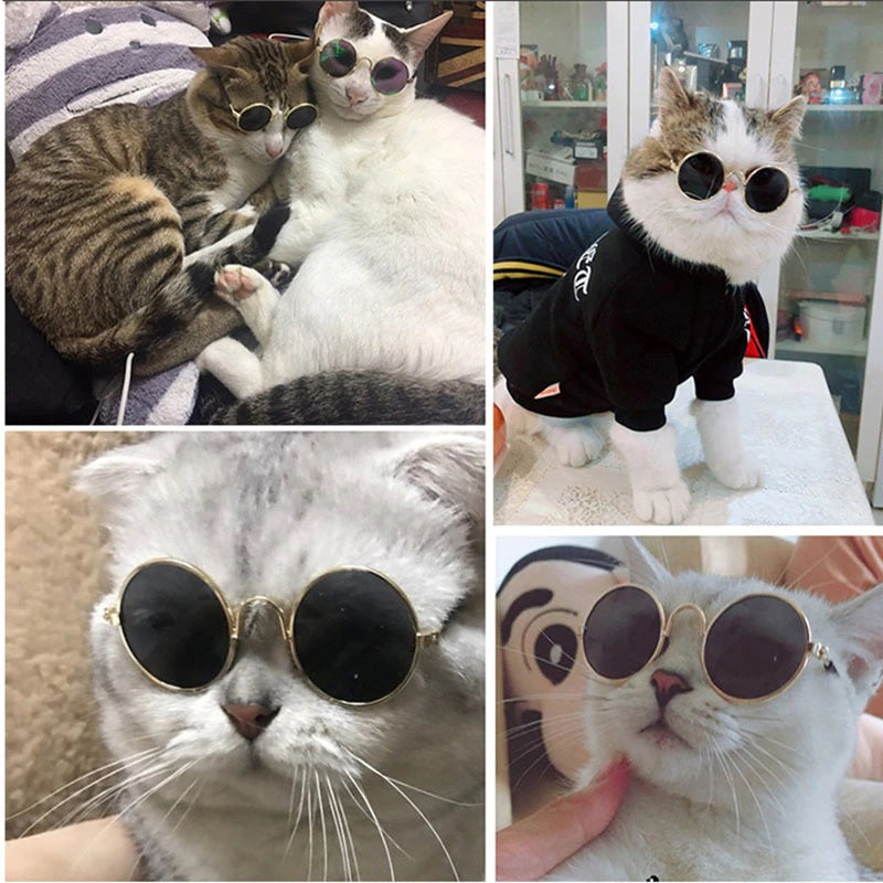 Gafas De Sol Para Gatos Y Perros Pequeños Fashion Disfraz