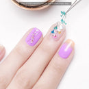 Flores Secas Para Decoración Uñas Efecto 3d Incluye Caja