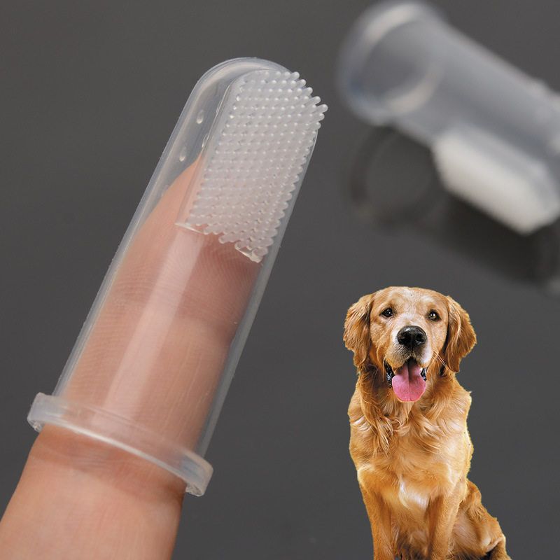 Cepillo De Dientes Súper Suave Para Mascotas Con Estuche Transparente