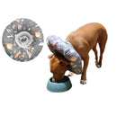 Cono De Recuperación Perros Y Gatos Collar Isabelino Gris/ Universo