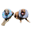 Collar Isabelino Para Recuperación De Cirugia Perro O Gato Talla Donas