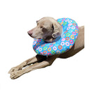 Collar Isabelino Para Recuperación De Cirugia Perro O Gato Talla Donas