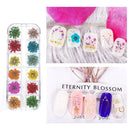 Flores Secas Para Decoración Uñas Efecto 3d Incluye Caja