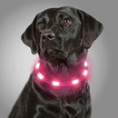 Collar Luz Led Reflectivo Perro Gato Mascotas 3 Efectos Rosa
