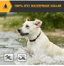 Collar Anti Ladrido Ajustable Para Perros