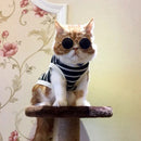 Gafas De Sol Para Gatos Y Perros Vintage Redondas