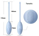 Vibrador Huevo Control Remoto Inalambrico Clitoris Recarga Usb